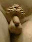 Michelangelo's David's Dick