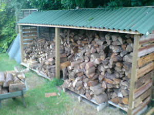 Photo of our spectacular woodpile