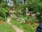 the chelsea pensioner garden