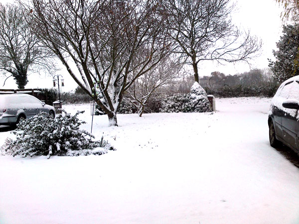 Snowy front garden