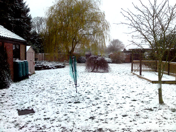 Snowy back garden